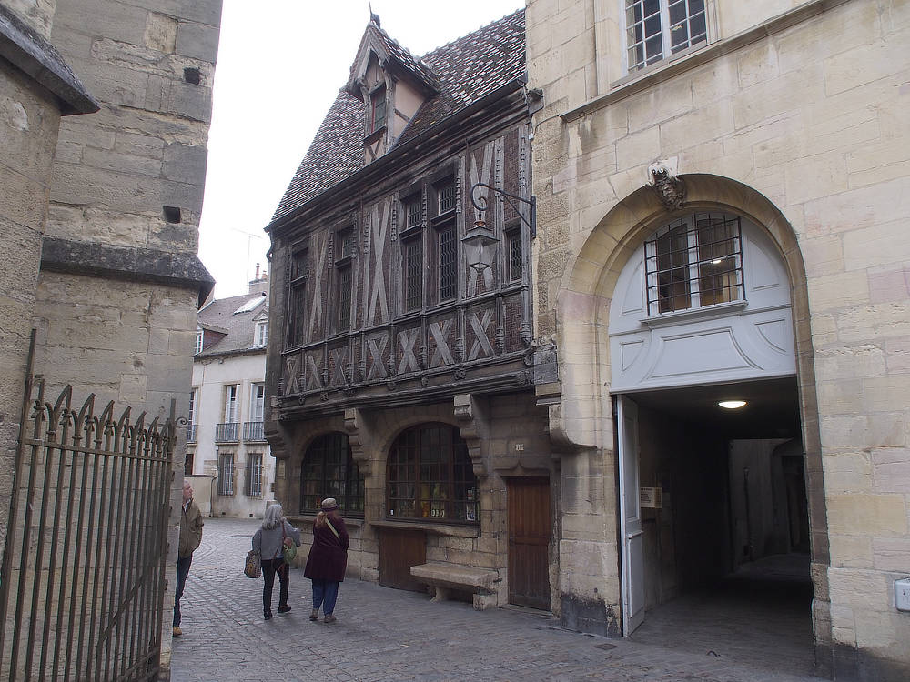 casual photos of Dijon by Don