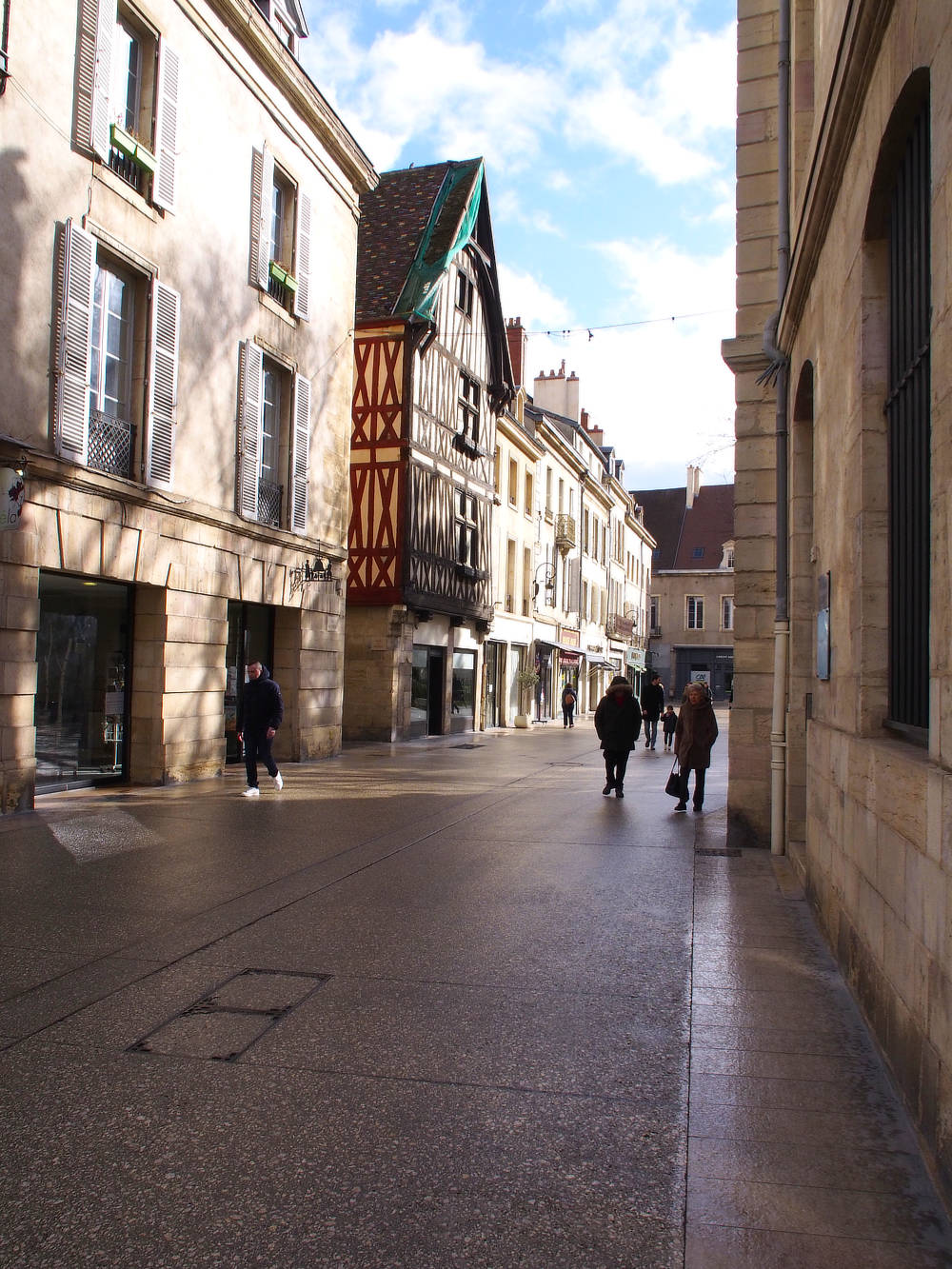 casual photos of Dijon by Don