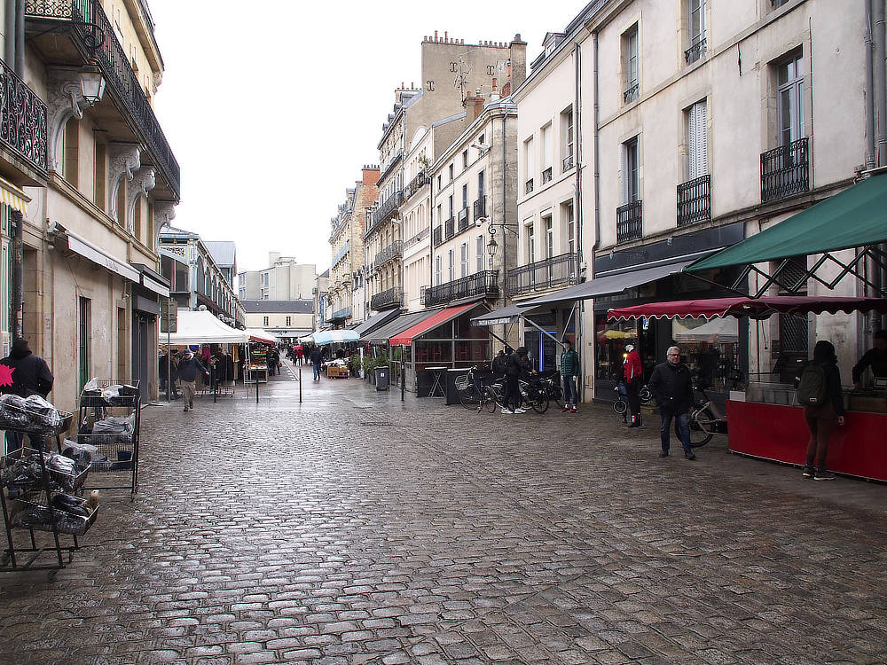 casual photos of Dijon by Don