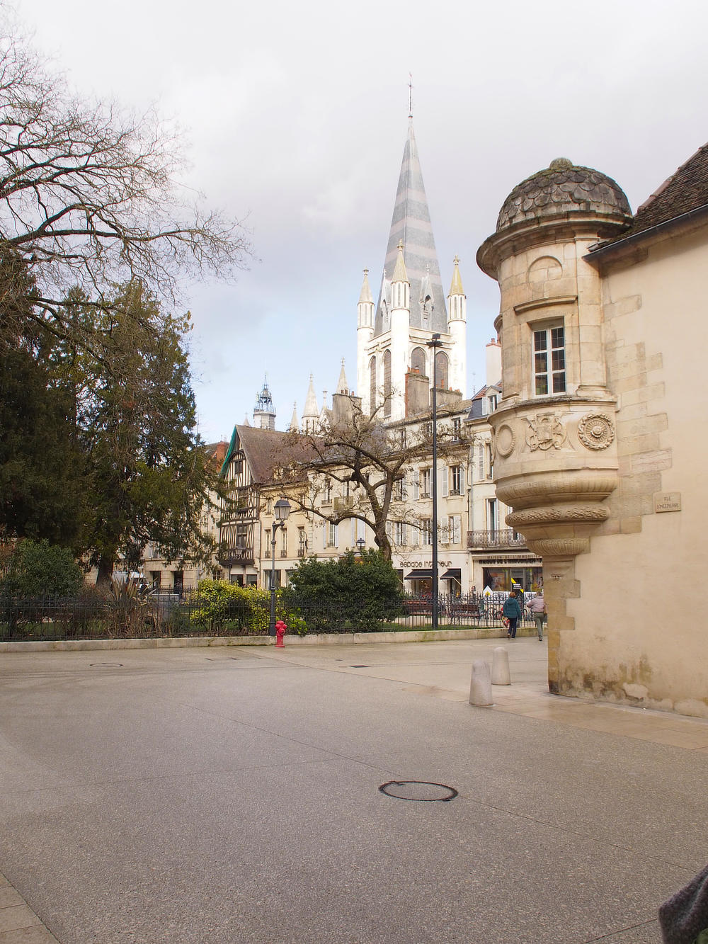 casual photos of Dijon by Don