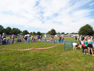 results chart at fulford show