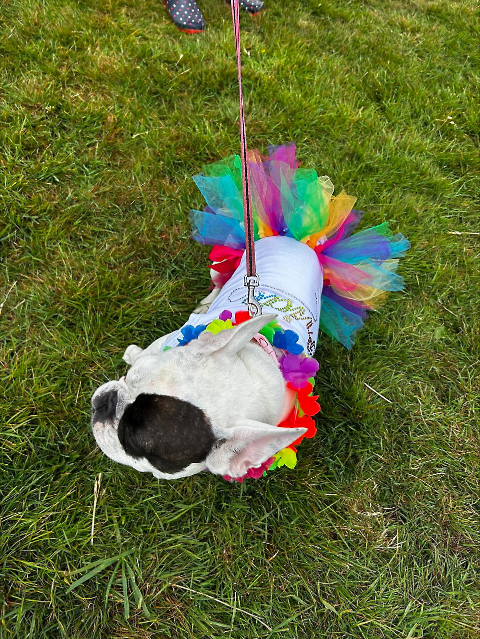York pride snaps of the stall