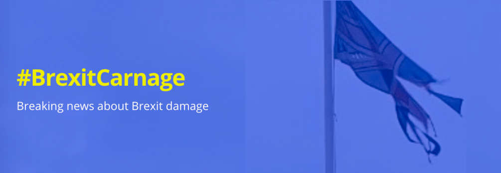 Brexit carnage logo