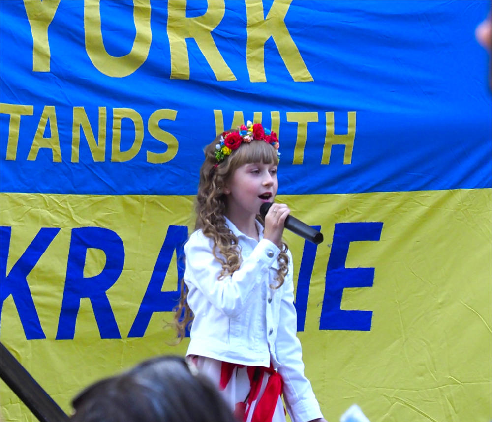 view of crowd during Ukraine day celebratoin in York