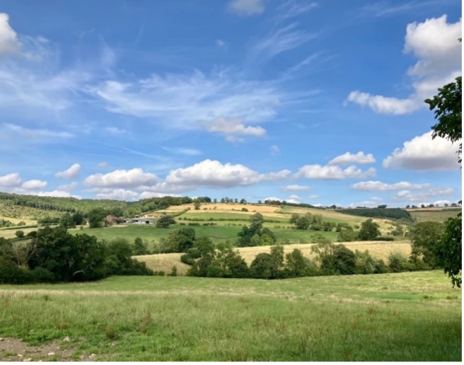 yorkshire countryside
          